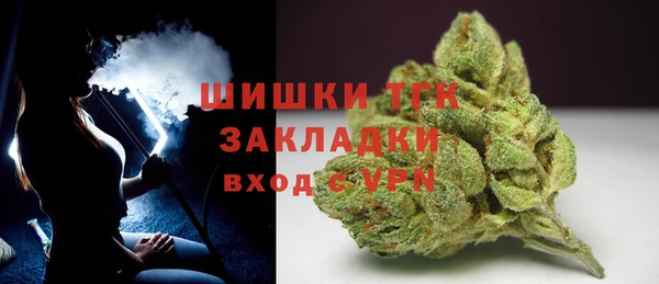 МДПВ Инта