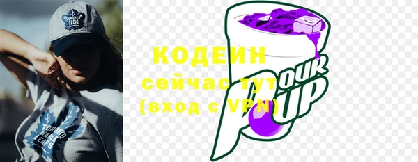 apvp Инсар