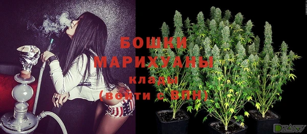 МДПВ Инта