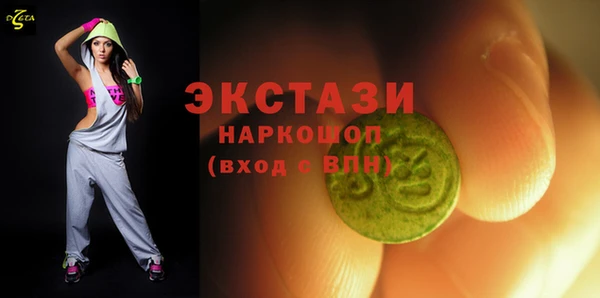 apvp Инсар