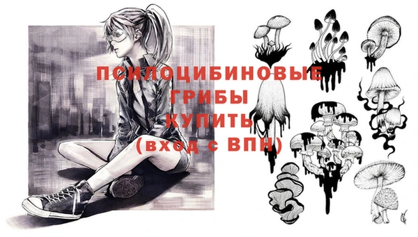 МДПВ Инта