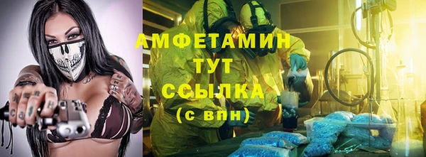 apvp Инсар