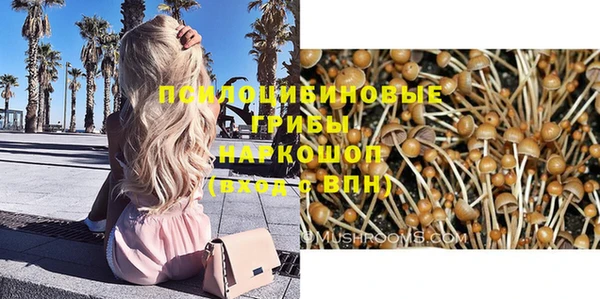 МДПВ Инта